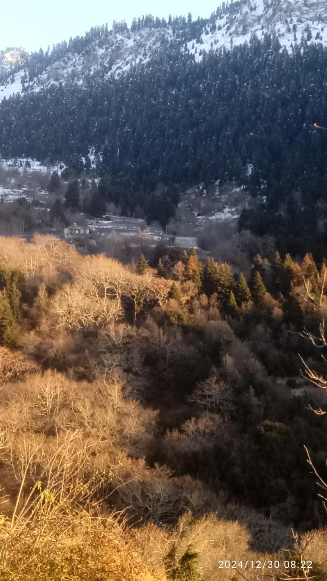Archontiko Tou Krommyda Eláti Exteriör bild